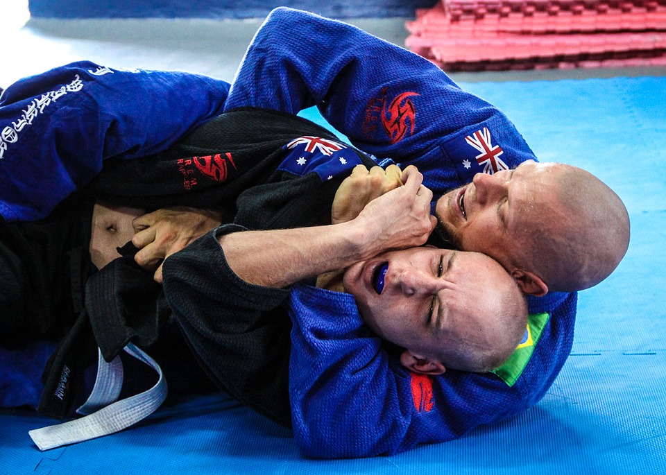 Top Jiu Jitsu Blogs – 2019